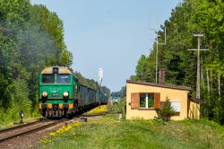 ST44-282: Witowo