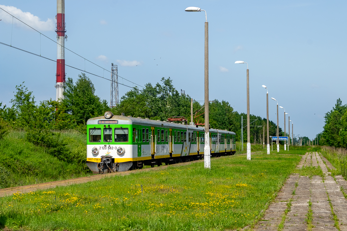 EN57-1796: Radom Potkanów