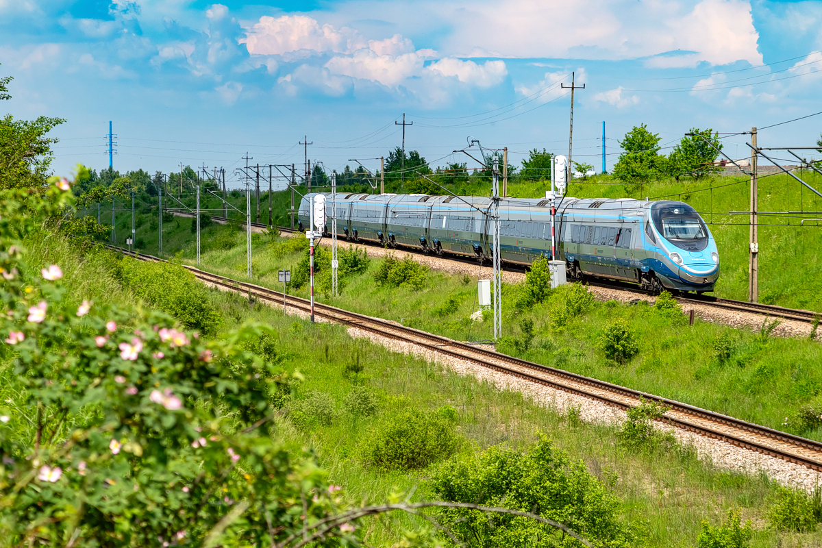 ED250-020: podg. Starzyny