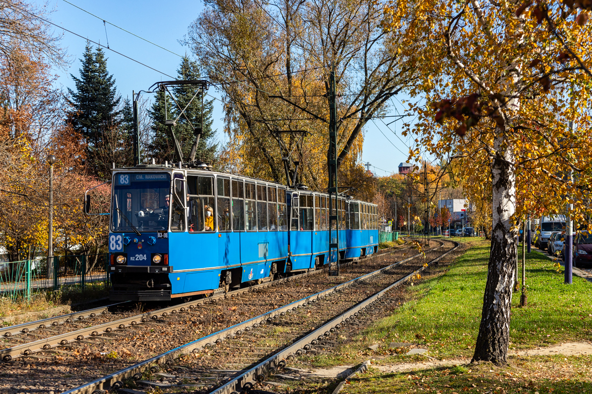 105Na #RZ204+RZ237+RZ238: Kraków, ul. Teligi