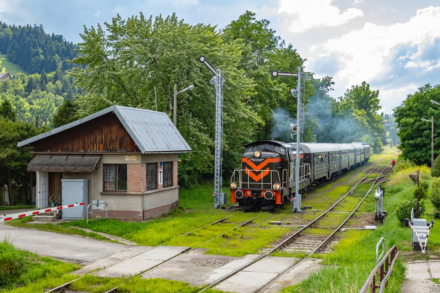 SM42-1031: Rabka Zaryte