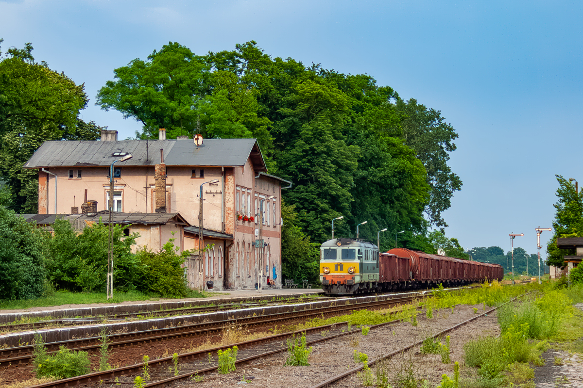 ST43-193: Witnica