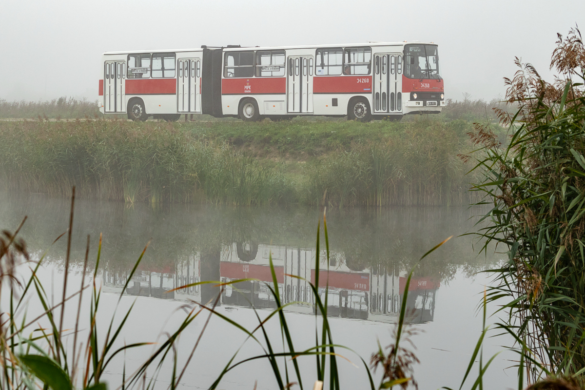 Ikarus 280.26 #34260: Brzegi 