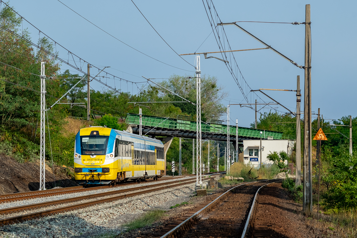 SA137-003: podg. Raszowa