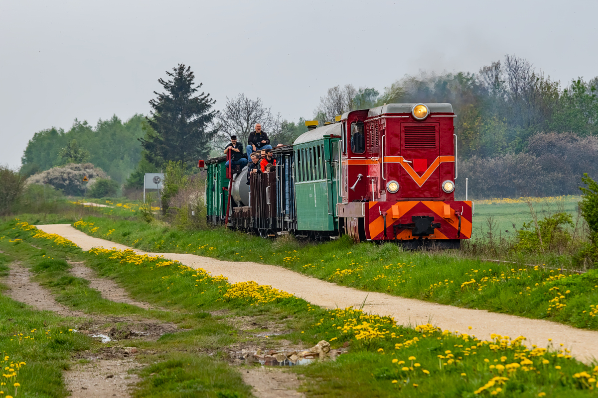 Lxd2-333: Jasionna - Wygoda