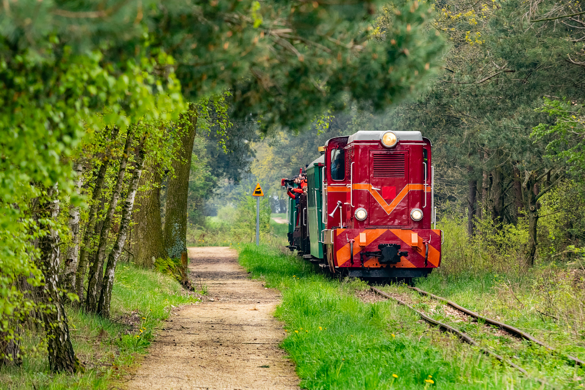 Lxd2-333: Jasionna - Wygoda