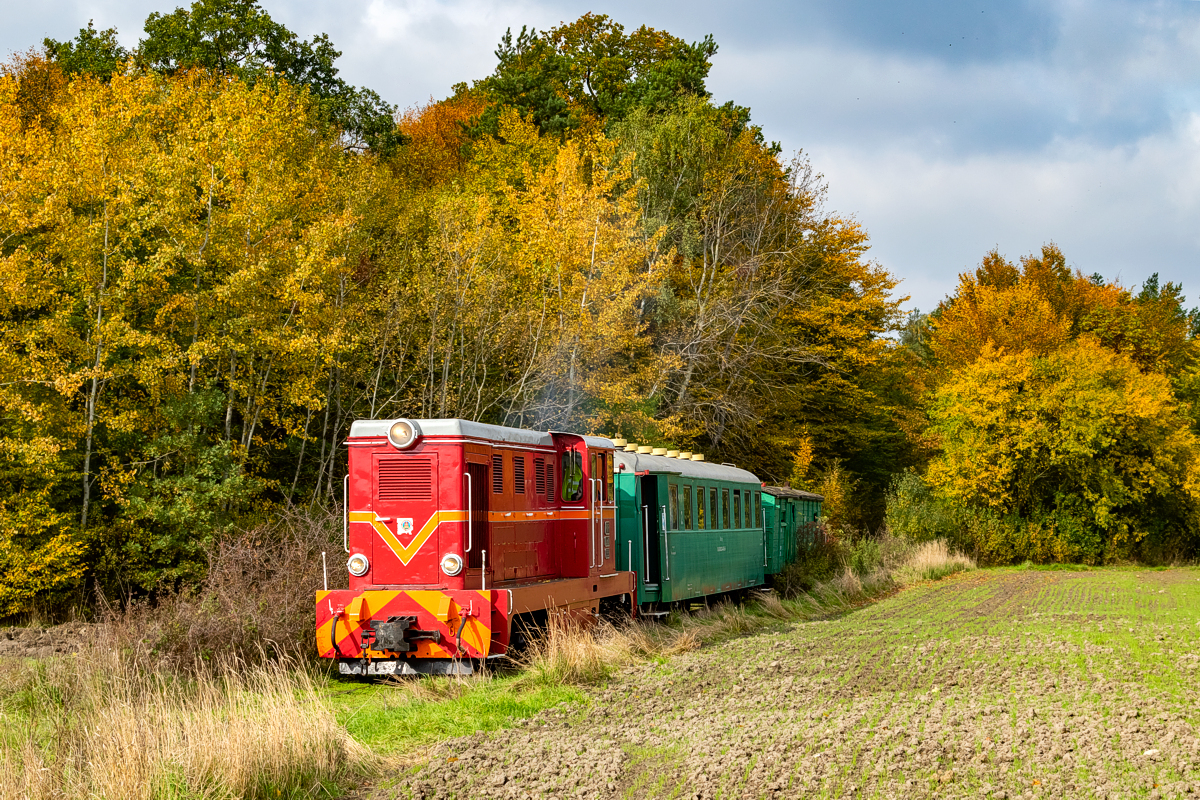 Lxd2-333: Jasionna - Wygoda