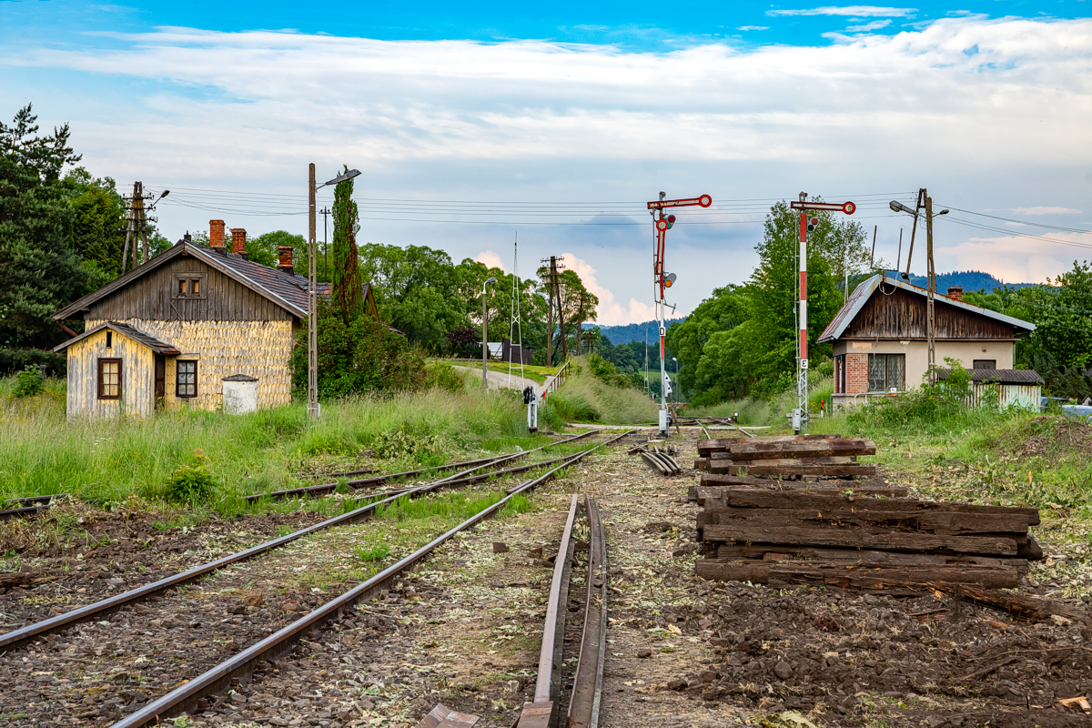 Rabka Zaryte - 17.06.2023