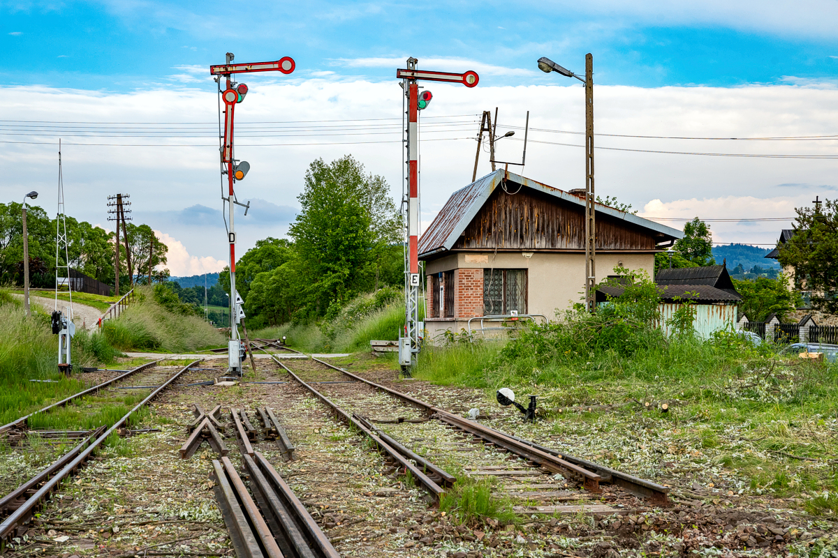 Rabka Zaryte - 17.06.2023