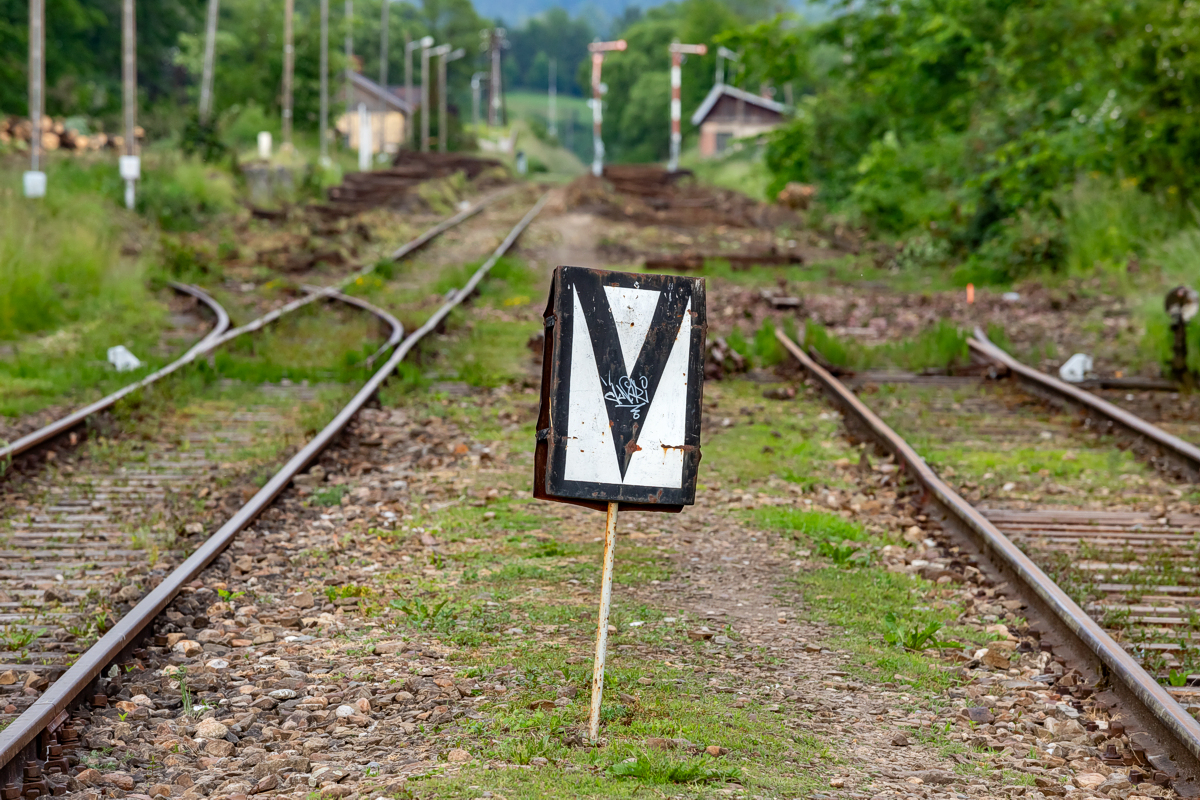 Rabka Zaryte - 17.06.2023