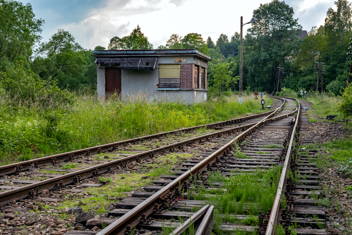 Rabka Zaryte - 17.06.2023