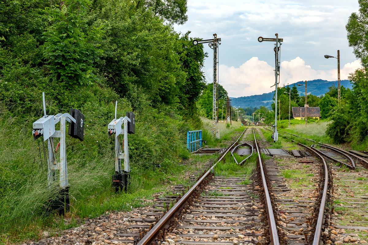 Rabka Zaryte - 17.06.2023