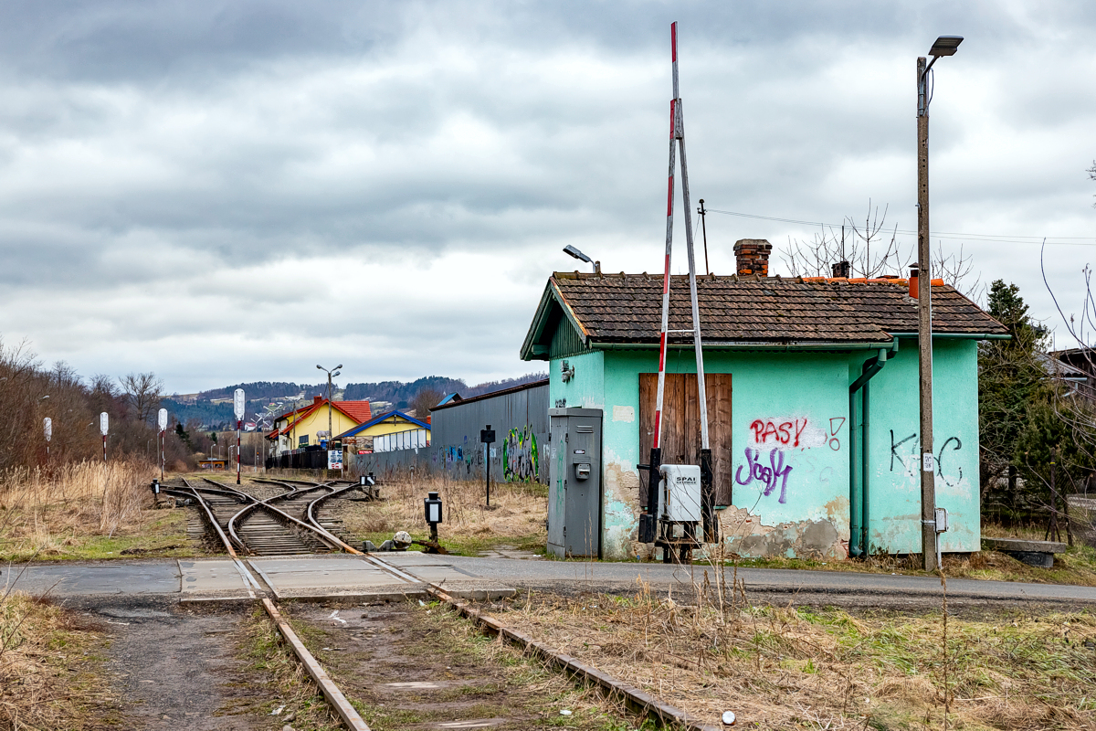 Limanowa - 03.02.2024