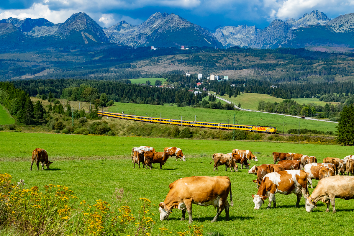 162 113: Štrba - Štrba zastávka