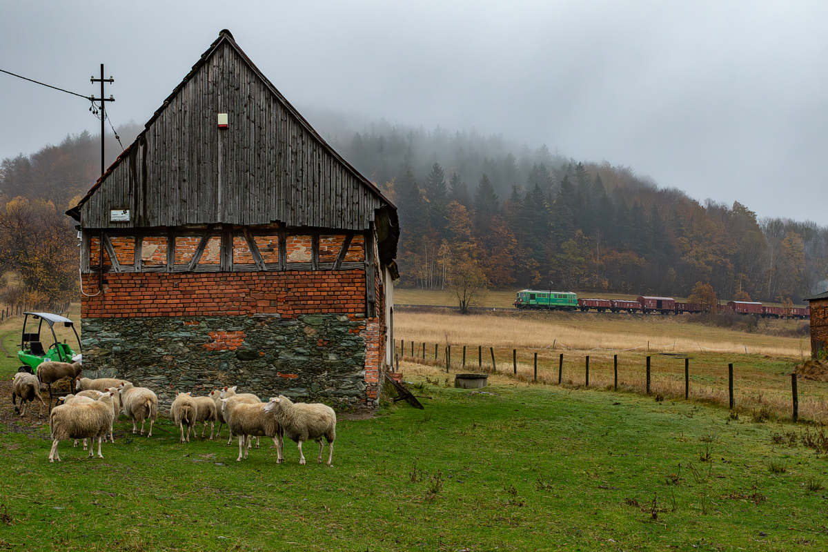 ST43-355: Marciszów - Płonina