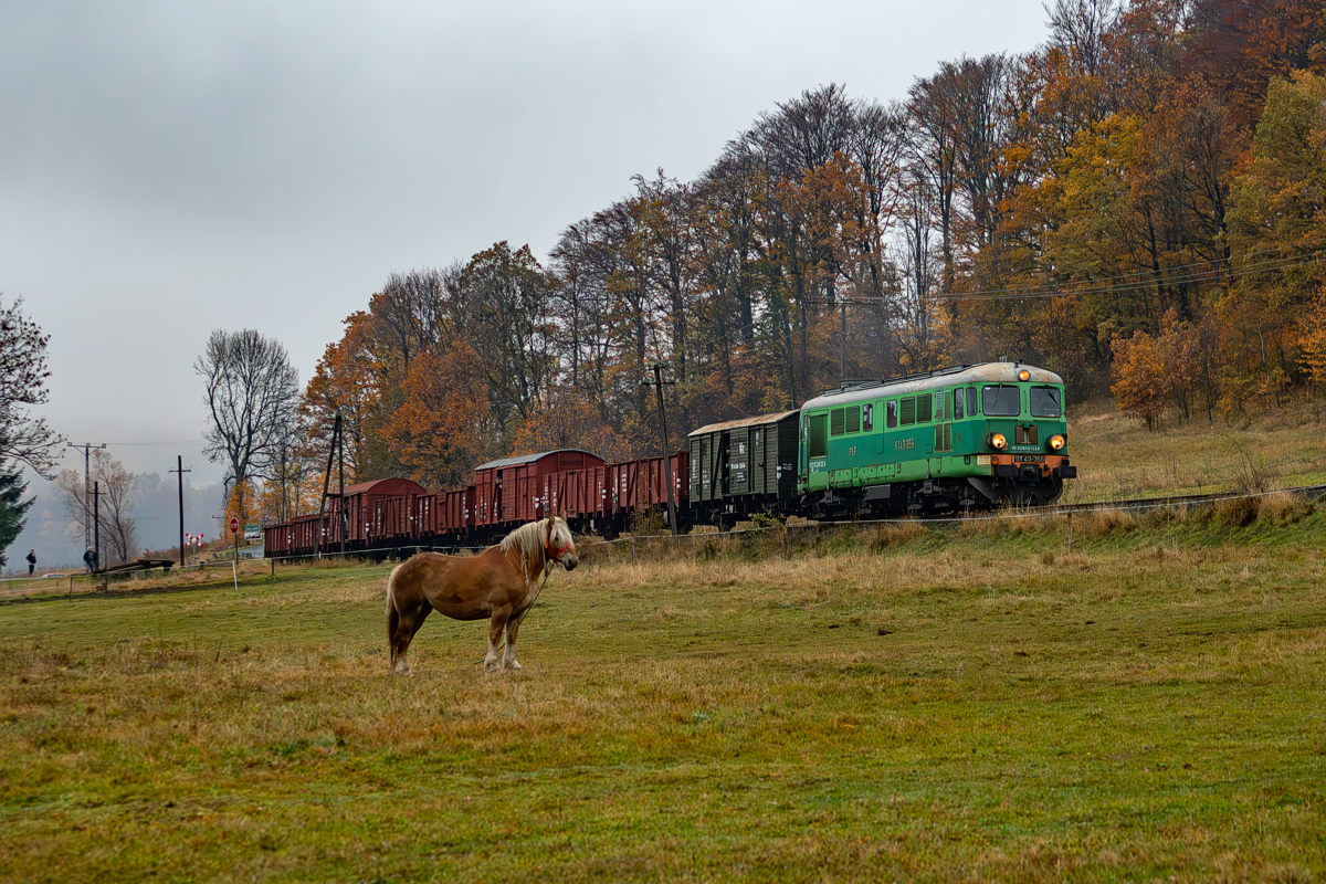 ST43-355: Płonina - Marciszów