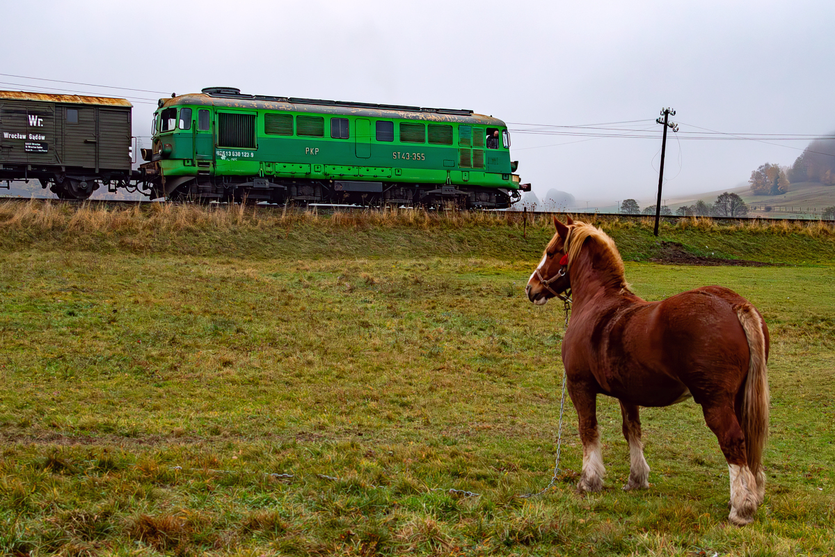 ST43-355: Płonina - Marciszów