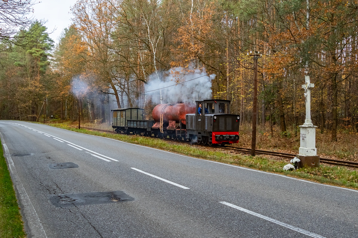 Lyd1-150: Rudy - Paproć