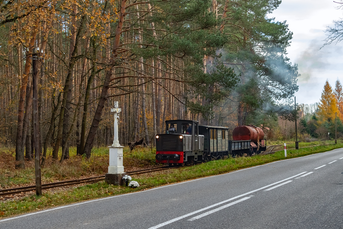 Lyd1-150: Paproć - Rudy