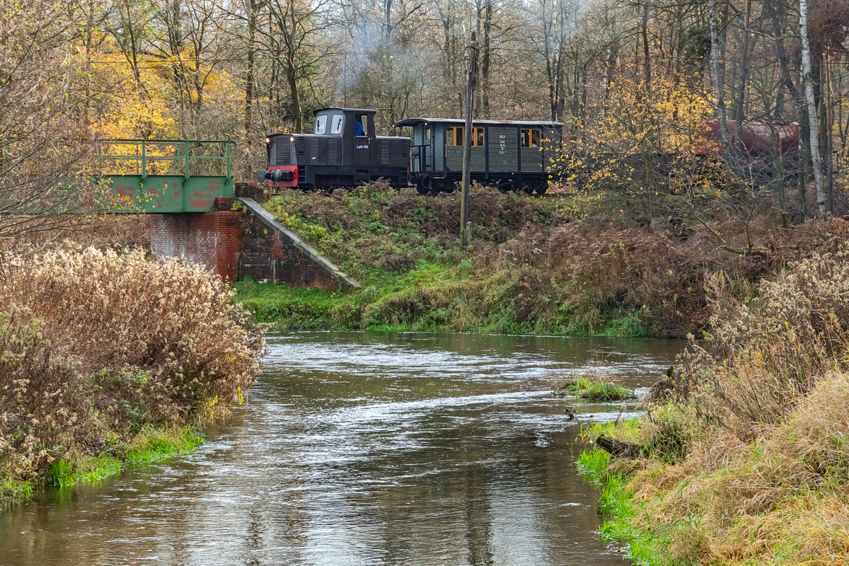 Lyd1-150: Paproć - Rudy
