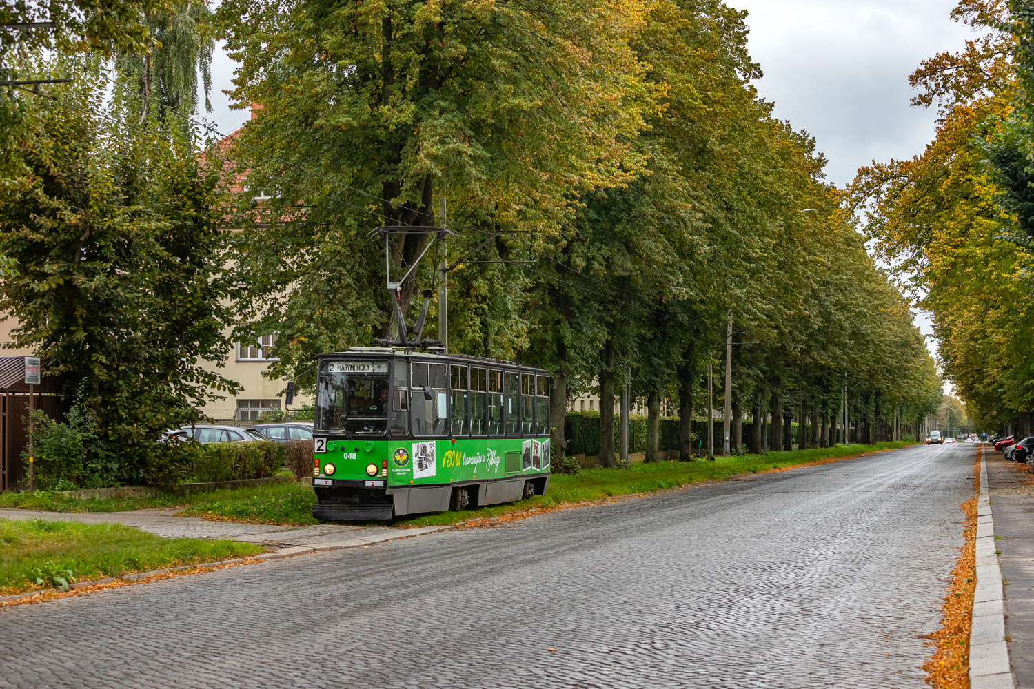 805Na #048: Elbląg, ul. Królewiecka