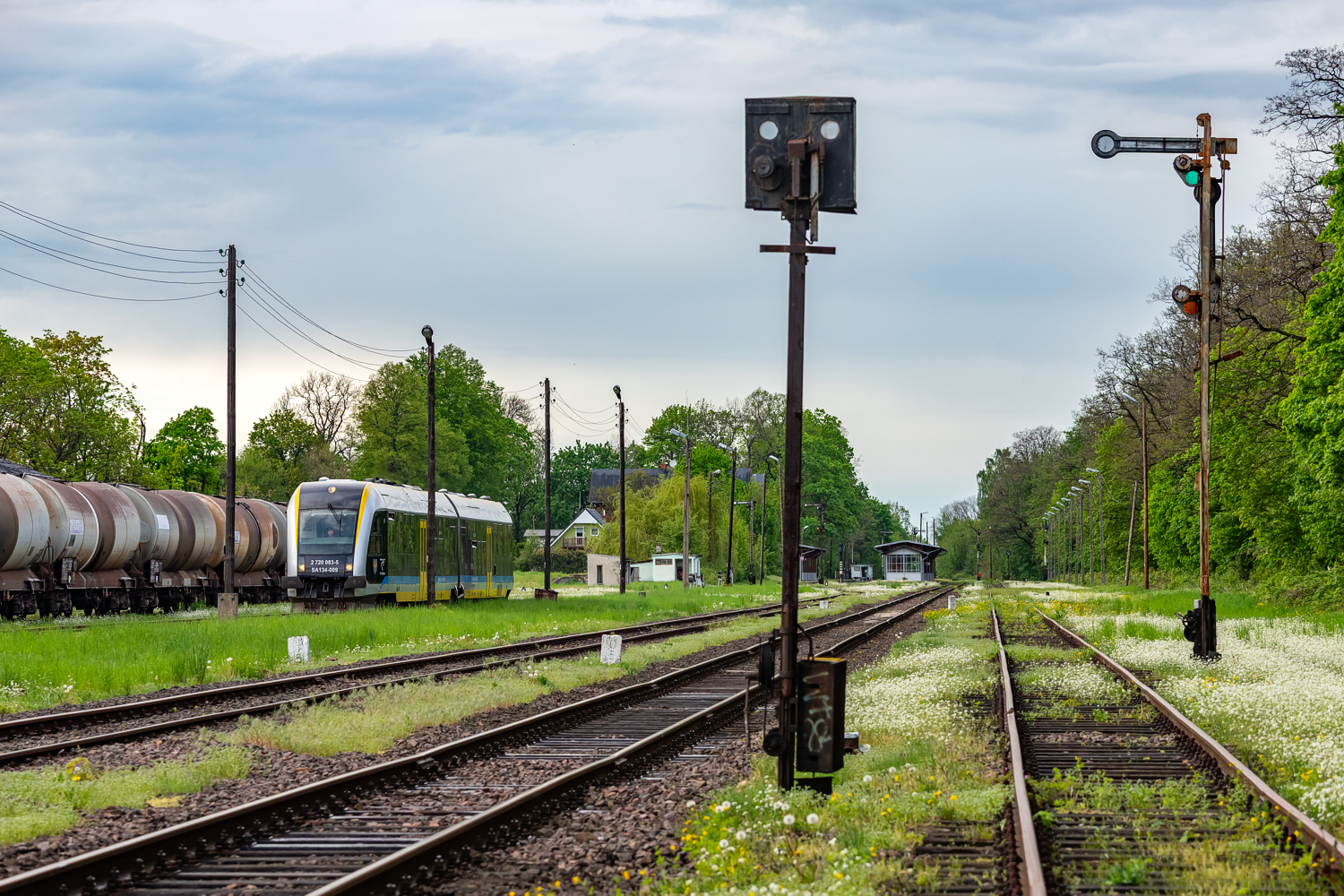 SA134-009: Głuchołazy