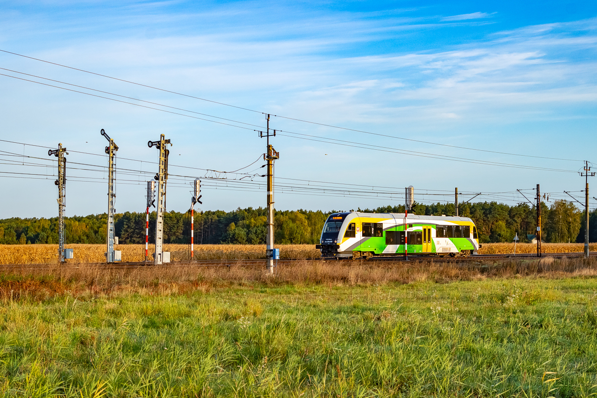 SA135-018: Sierakówek