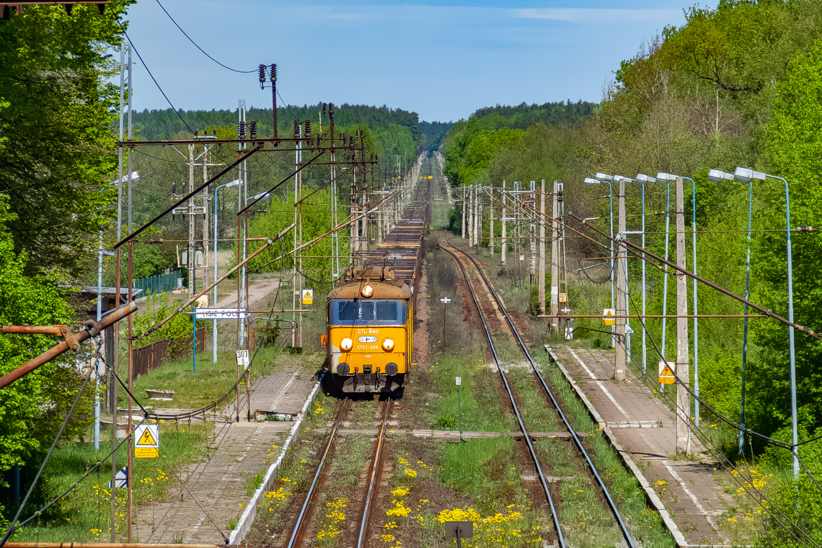 3E/1-106: Lisie Pole