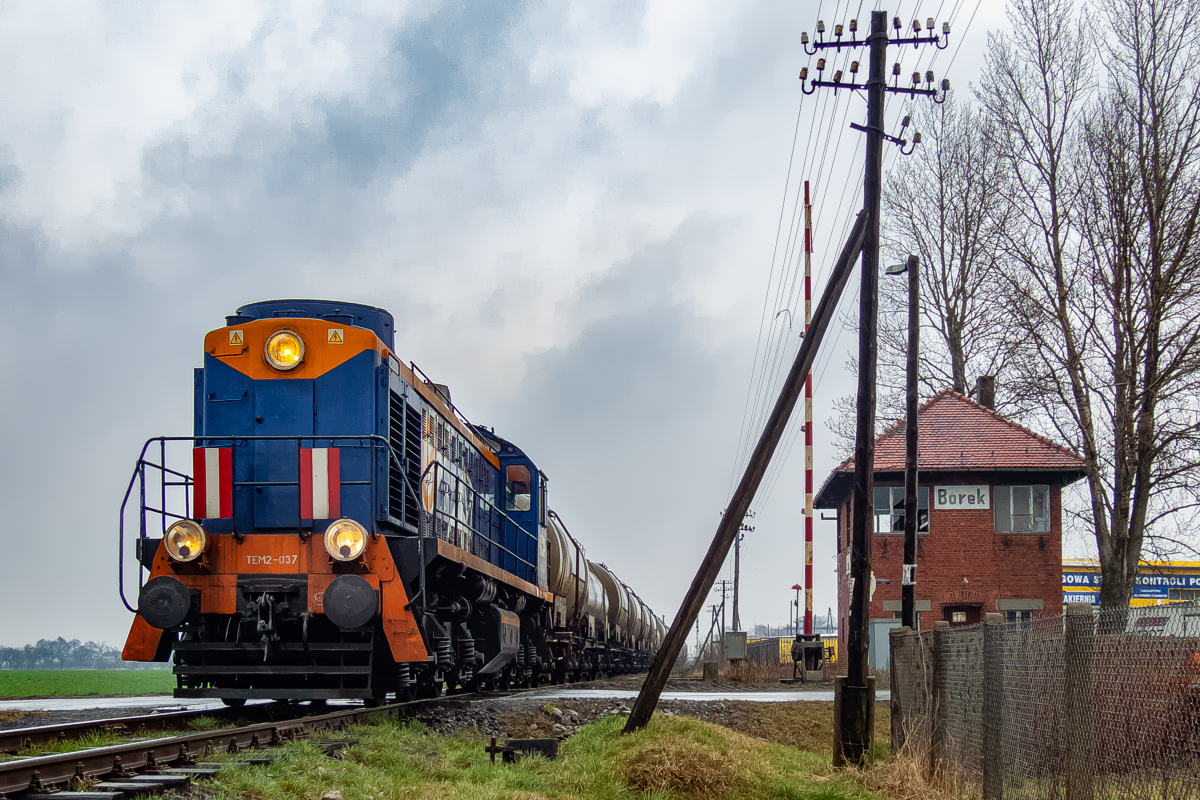 TEM2-037: Borek Wielkopolski