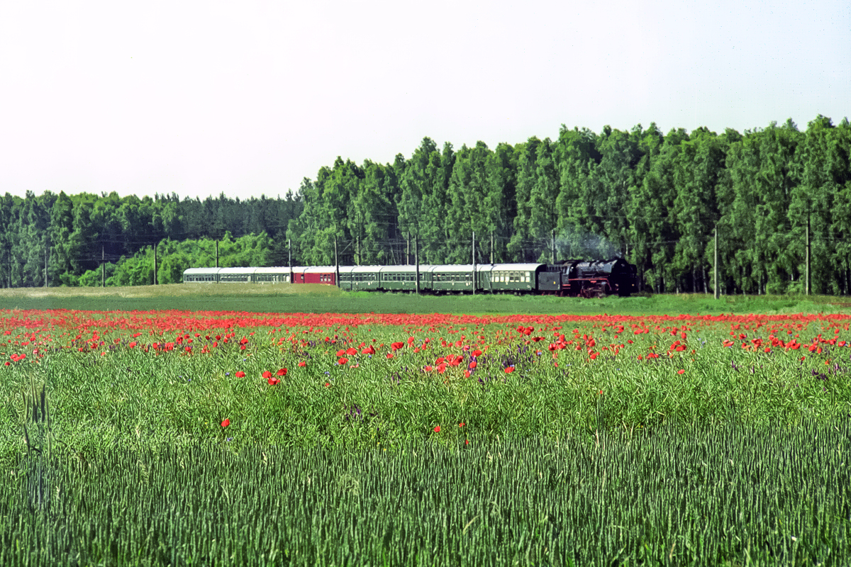 BR03 2204: Boleszkowice - Mieszkowice