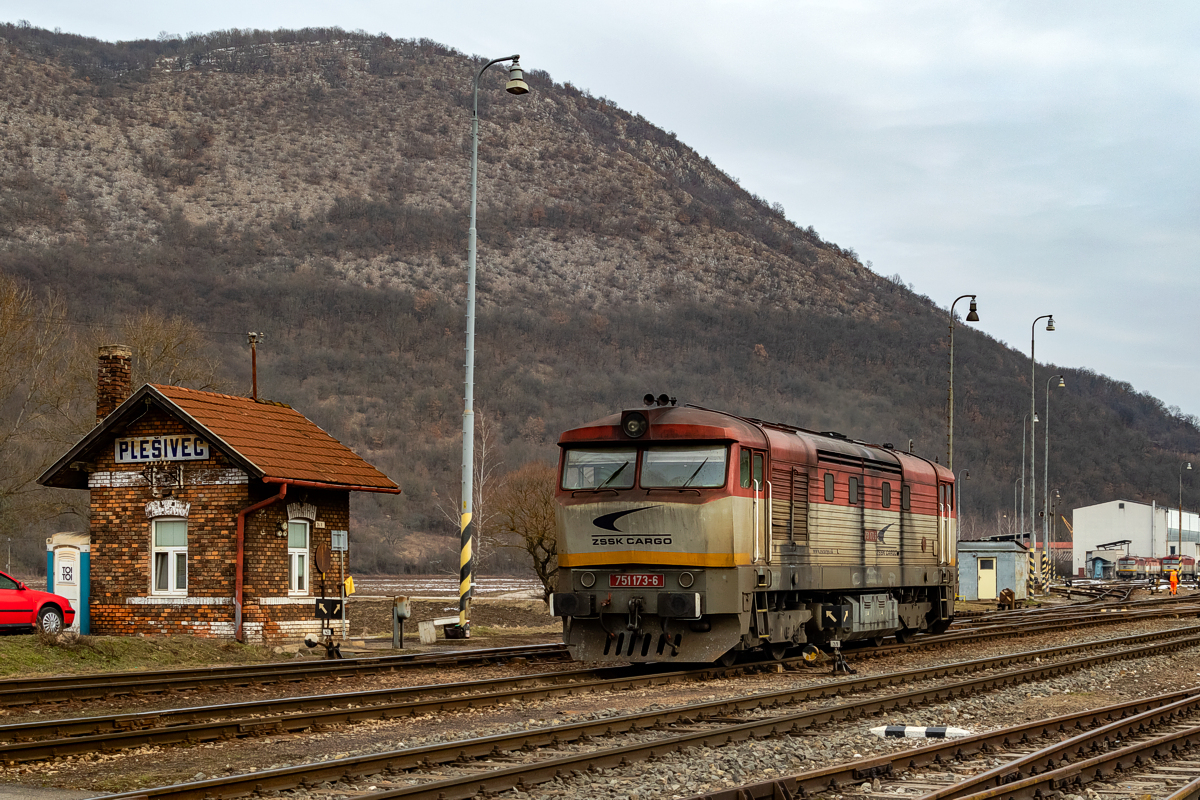 751 173: Plešivec