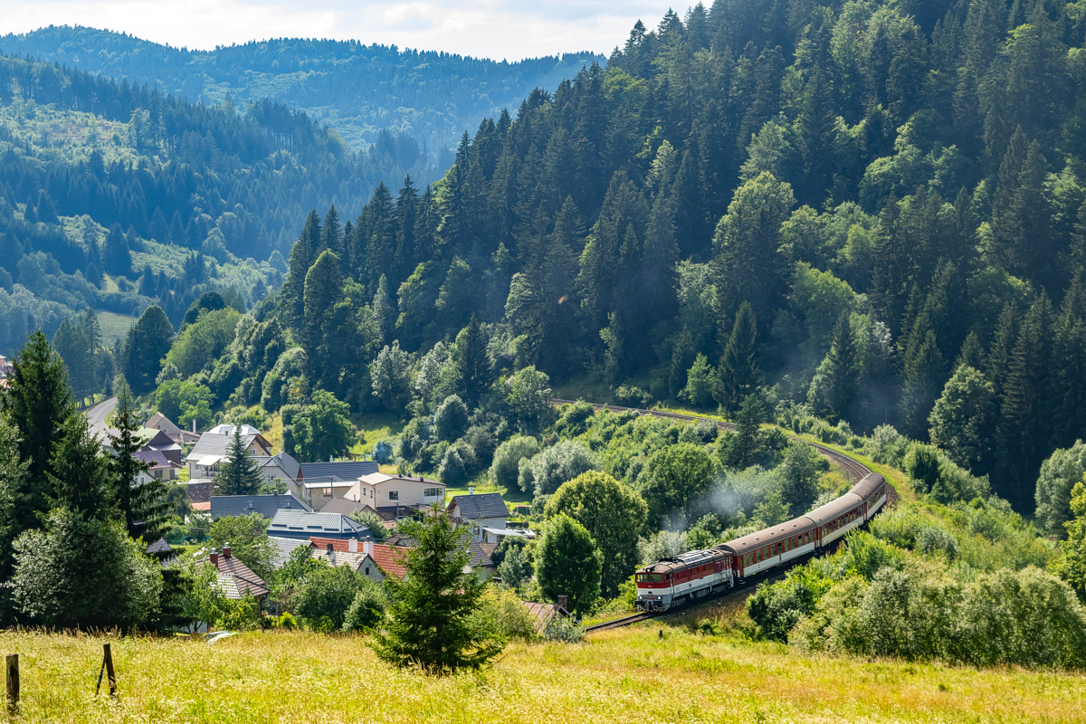 754 004: Turček - Kremnické Bane