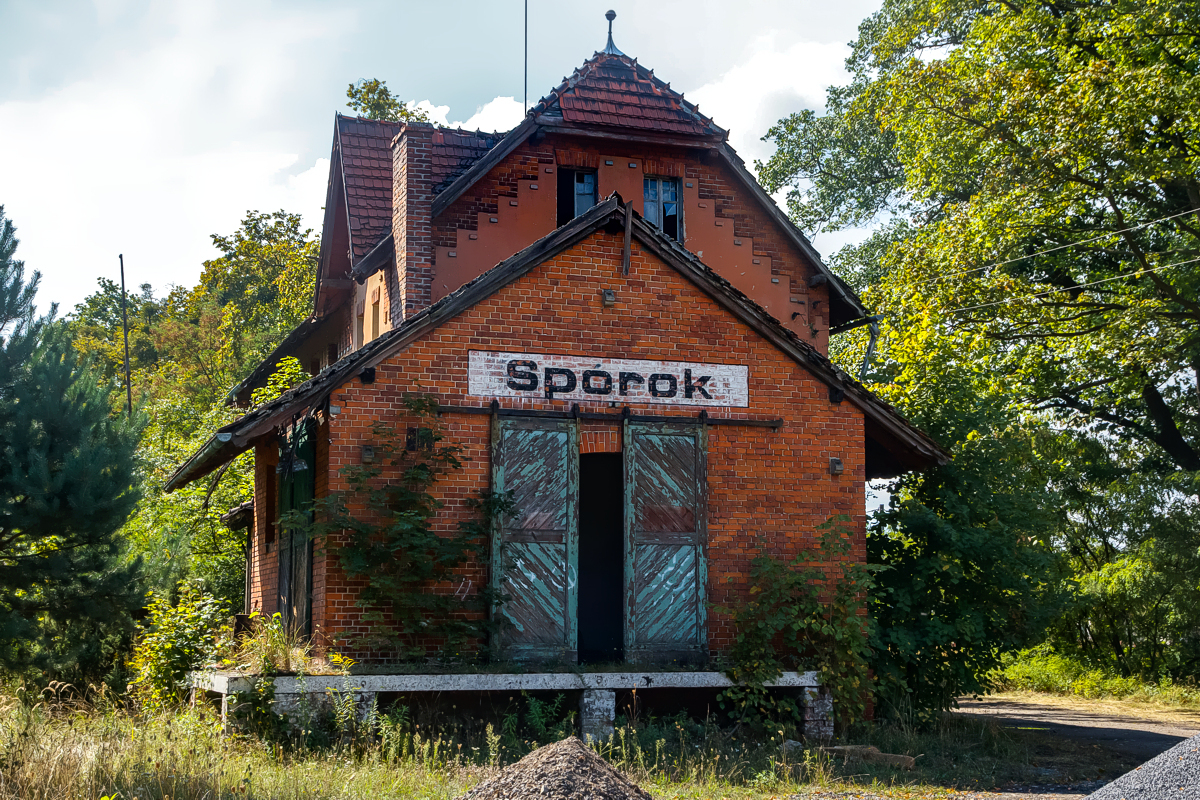 Spórok
