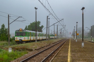 EN57-1939: Drzewica EN57-1939: Drzewica