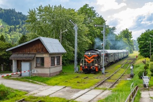 SM42-1031: Rabka Zaryte