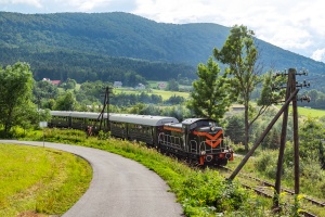 SM42-1031: Skrzydlna - Dobra koło Limanowej