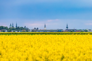 754 026: Głogówek - Twardawa 754 026: Głogówek - Twardawa
