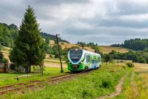 SA140-001: Tarnawa Dolna - Czaszyn