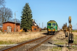 ST43-382: Garzyn