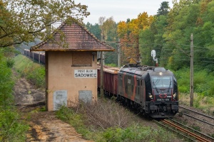 E6ACTa-016: Działoszyn - Chorzew-Siemkowice