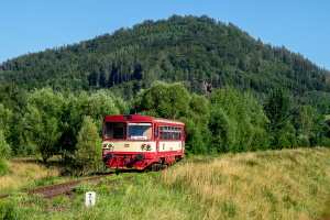 810 541: Błażkowa - Lubawka